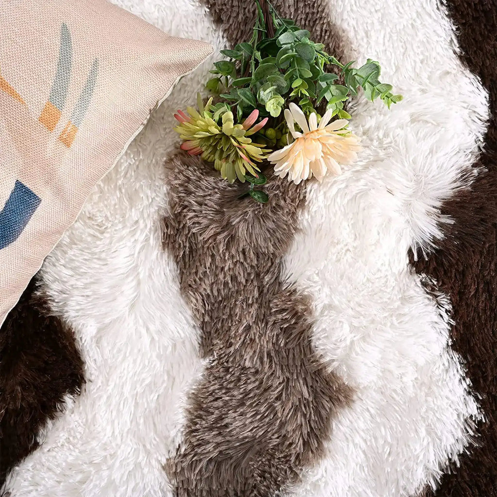 NOAHAS Soft Shaggy Rugs Plush Area Rugs